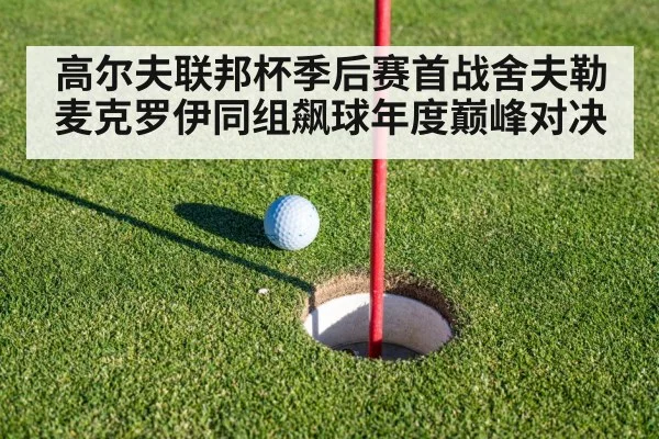 高尔夫联邦杯季后赛首战舍夫勒麦克罗伊同组飙球年度巅峰对决